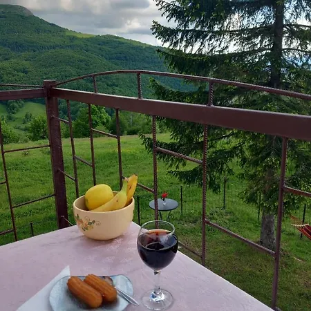 Holiday home Planinska Kuca Petar Gacko