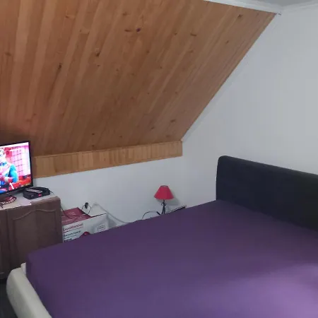Holiday home Planinska Kuca Petar Gacko