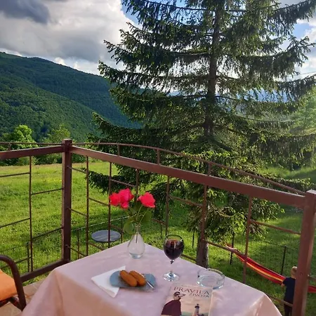 Planinska Kuca Petar Holiday home *