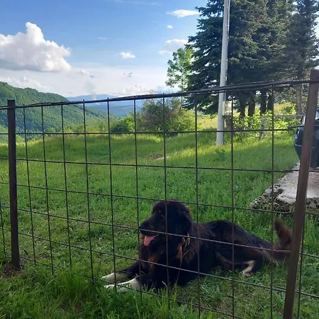 Planinska Kuca Petar Gacko