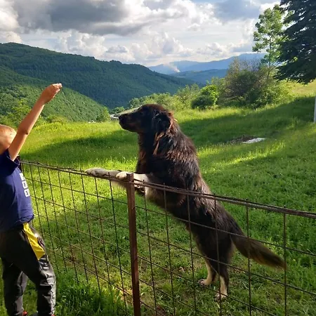 Holiday home Planinska Kuca Petar Gacko