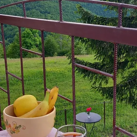 Planinska Kuca Petar * Gacko