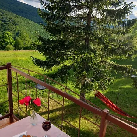 Planinska Kuca Petar Holiday home *